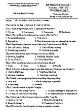 Đề khảo sát chất lượng học kì I Địa lí lớp 9 - Năm học 2016-2017 - Trường THCS Nguyễn Thiện Thuật